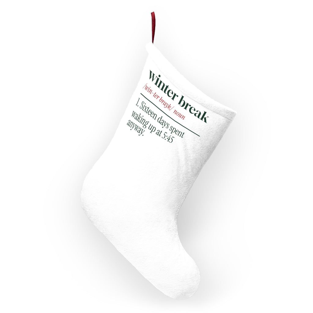 Funny Christmas Teacher Christmas Stocking Winter Break Dictionary