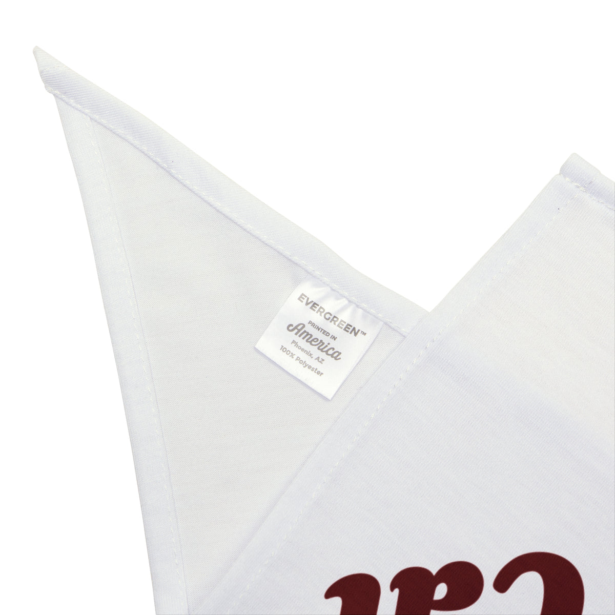 Funny Christmas Cat Dog Bandana Silent Night Except The Cat