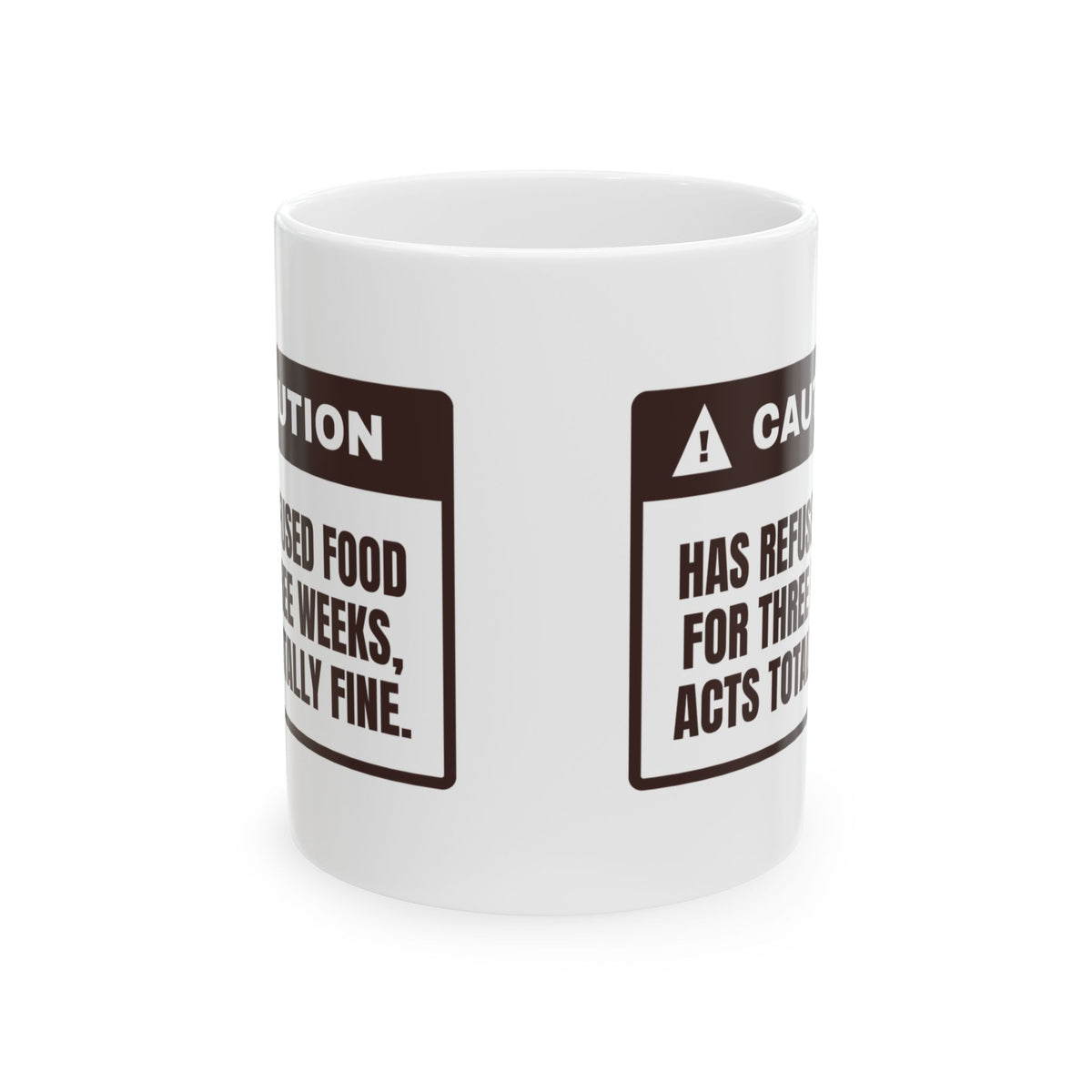 Reptile Owner Coffee Mug Hasn't Eaten In Weeks