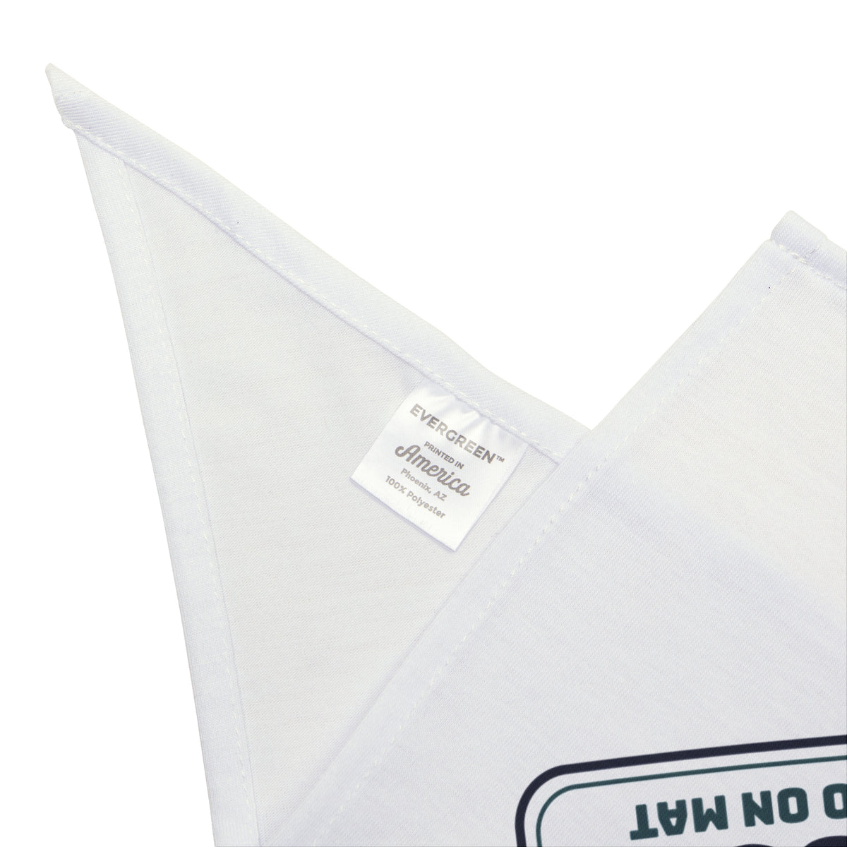 Funny Yoga Dog Bandana Mat In Use Dog Also On Mat