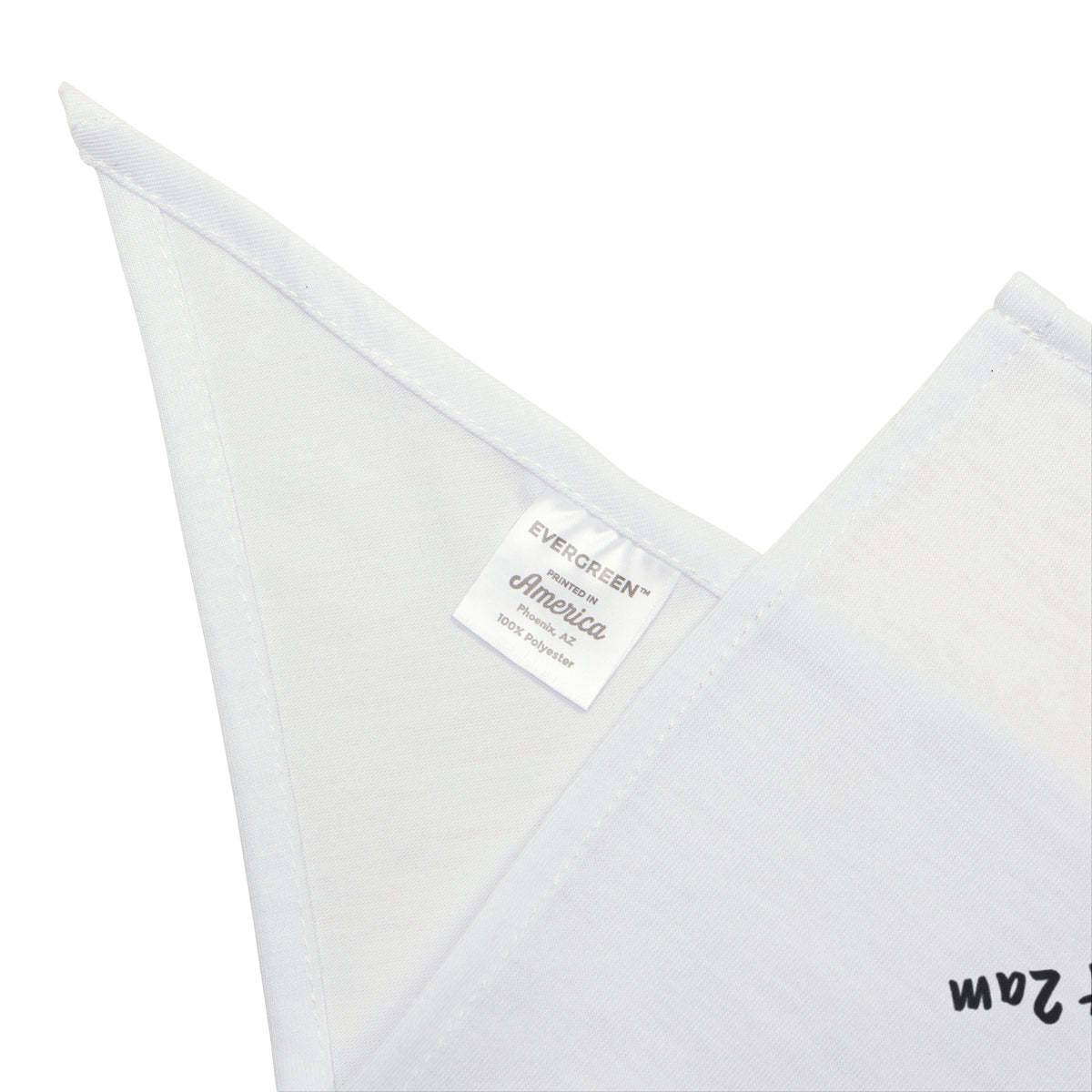 Funny Cat Valentine Checklist Dog Bandana For Cat Owners