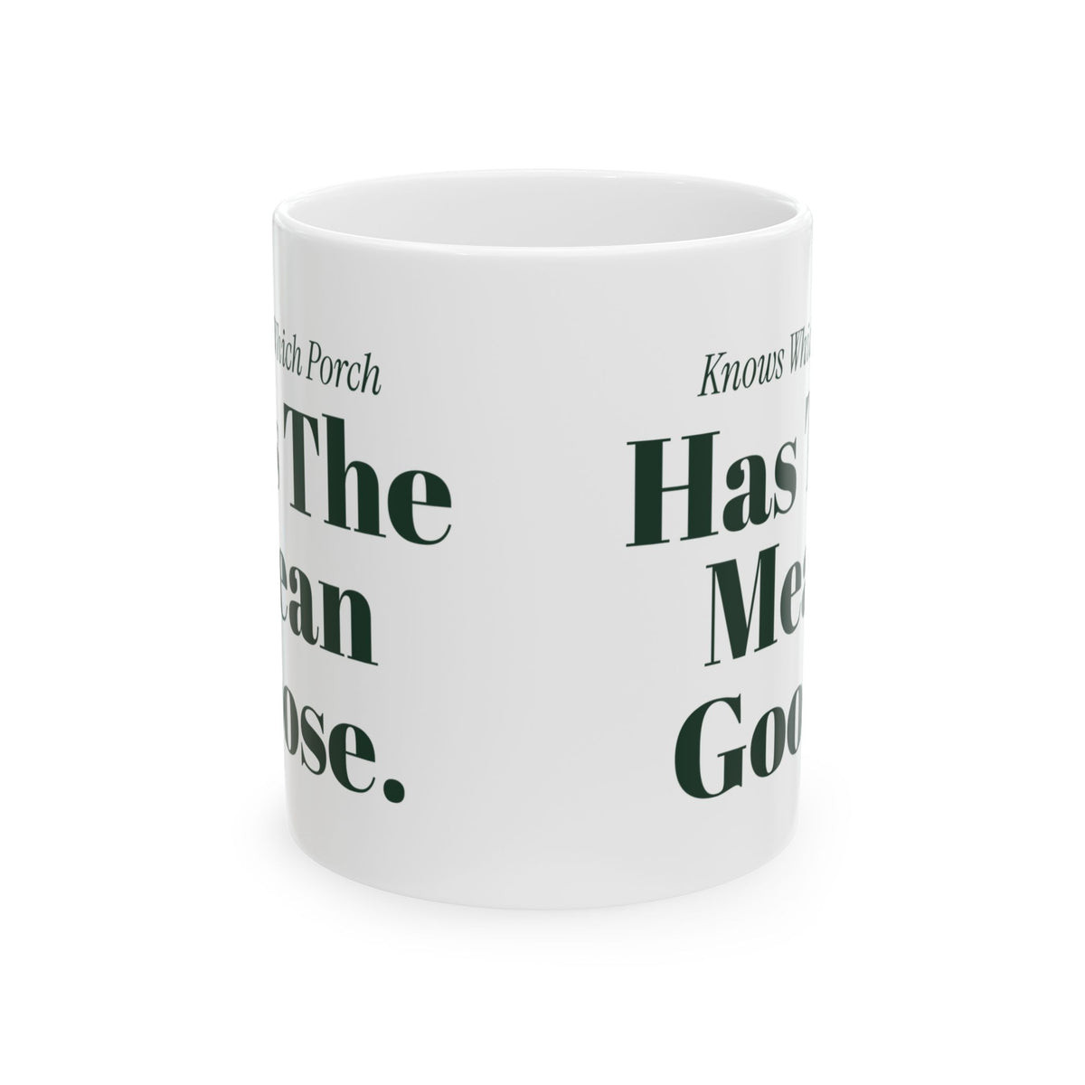 Funny Delivery Driver Coffee Mug Knows Which Porch Has The Mean Goose