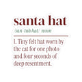 Funny Christmas Cat Sticker Santa Hat Definition For Cat Lovers