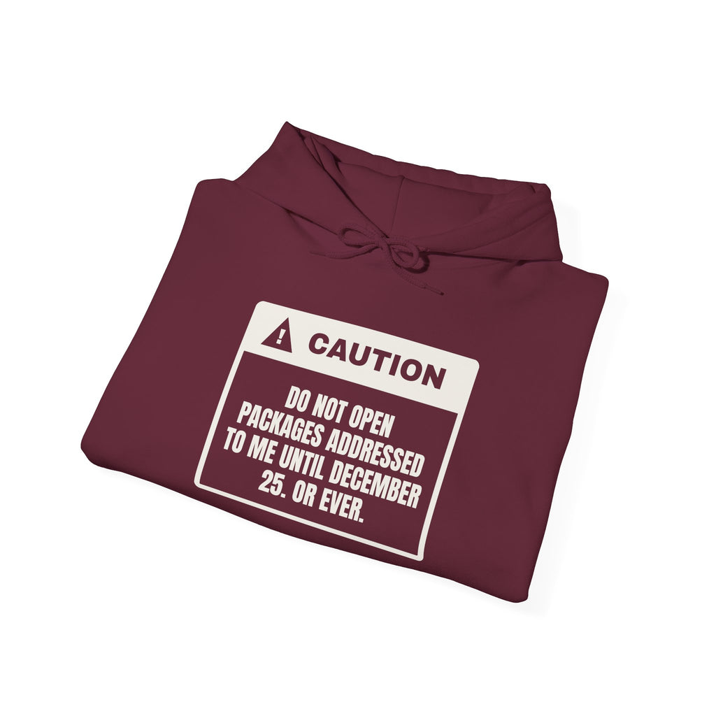 Funny Christmas Shopping Hoodie Do Not Open My Packages Warning