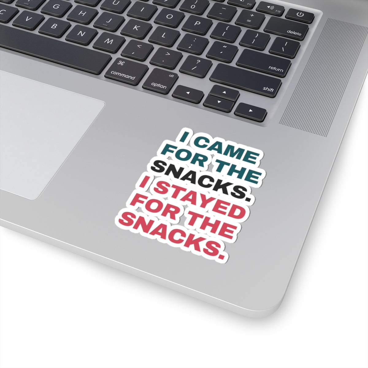 Funny Snack Lover Sticker I Came For The Snacks