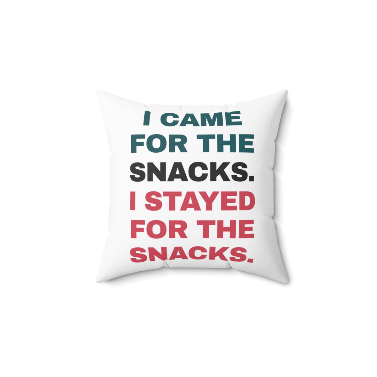 Funny Snack Lover Throw Pillow I Came For The Snacks