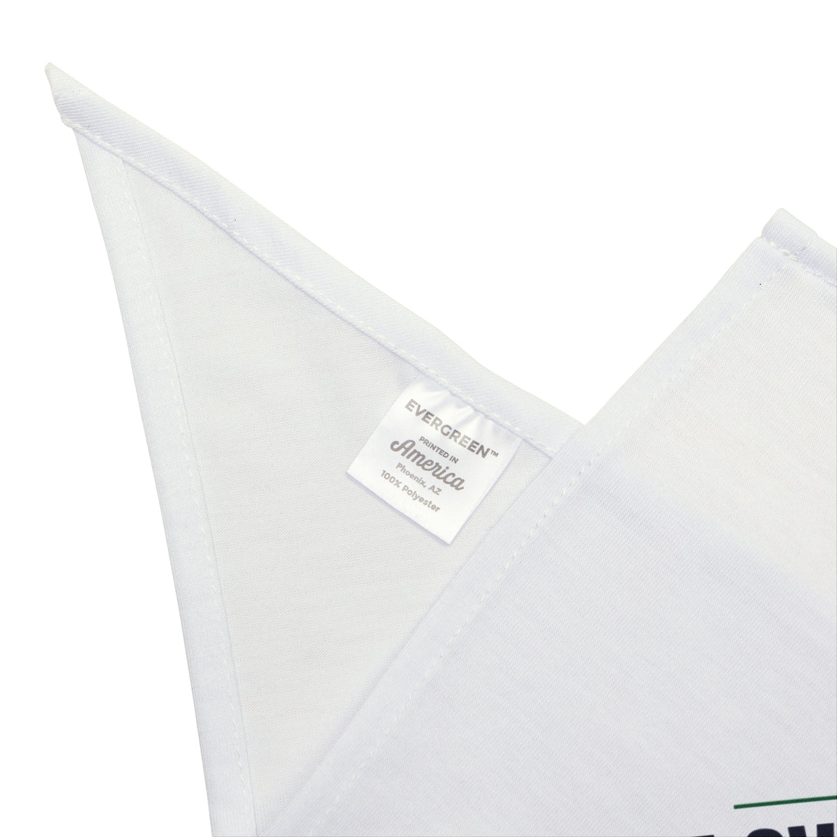 Kitten's First Christmas 2026 Dog Bandana For New Cat Owners