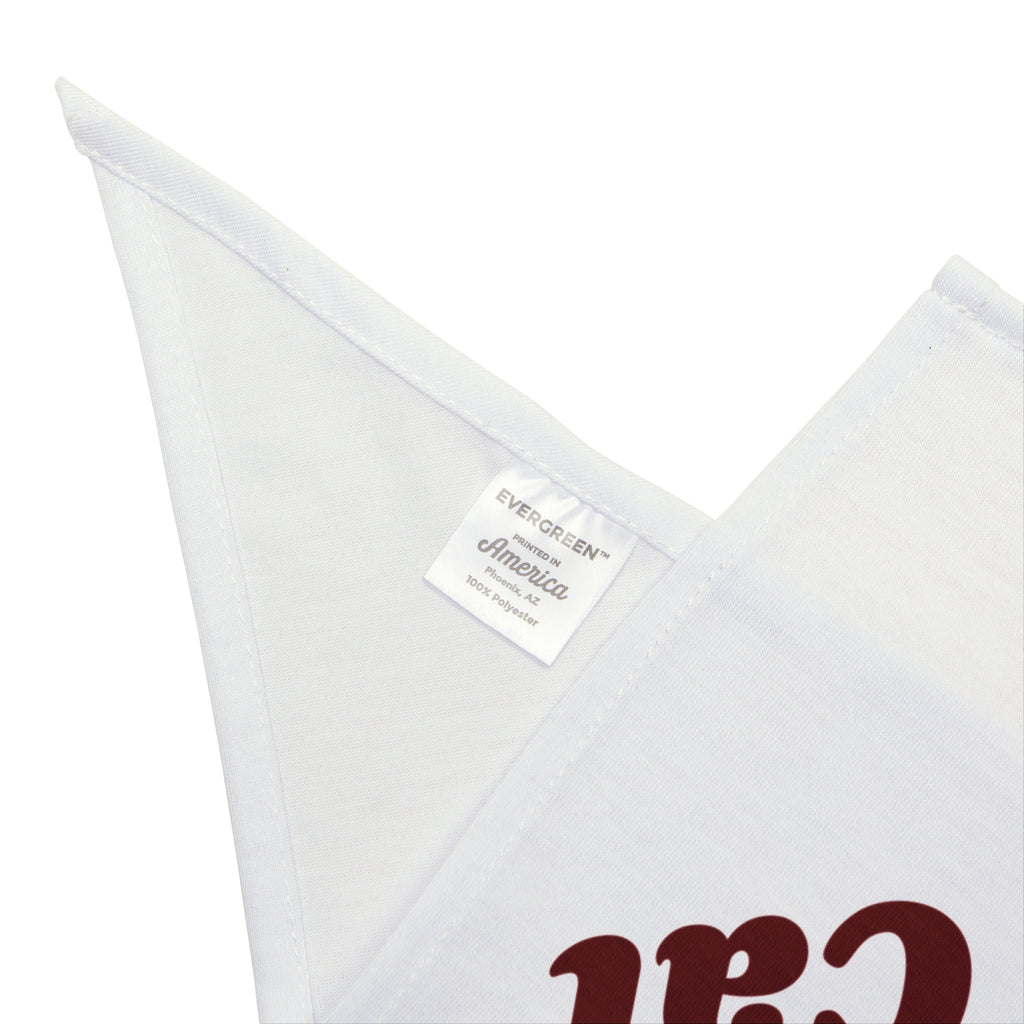Funny Christmas Cat Dog Bandana Silent Night Except The Cat