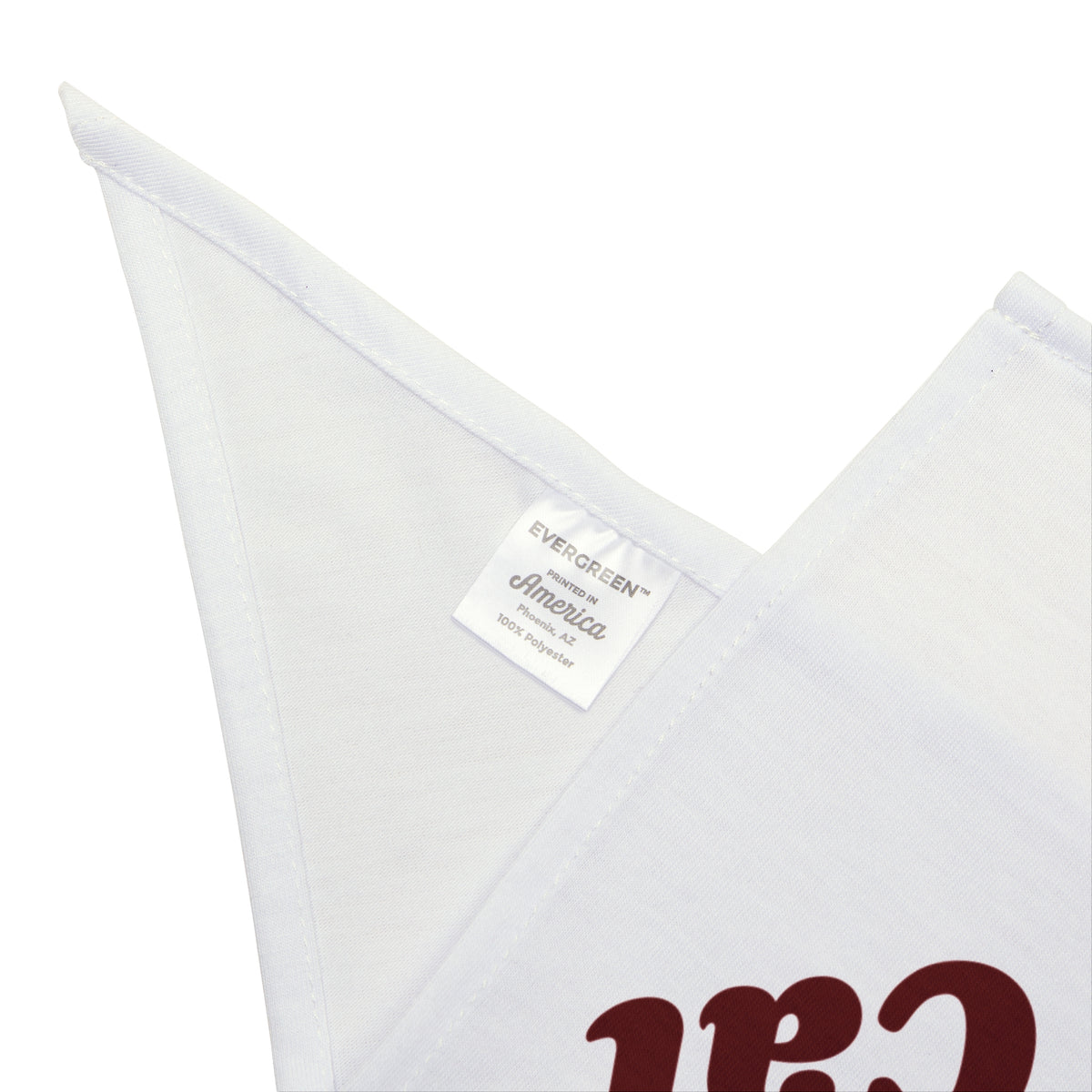 Funny Christmas Cat Dog Bandana Silent Night Except The Cat