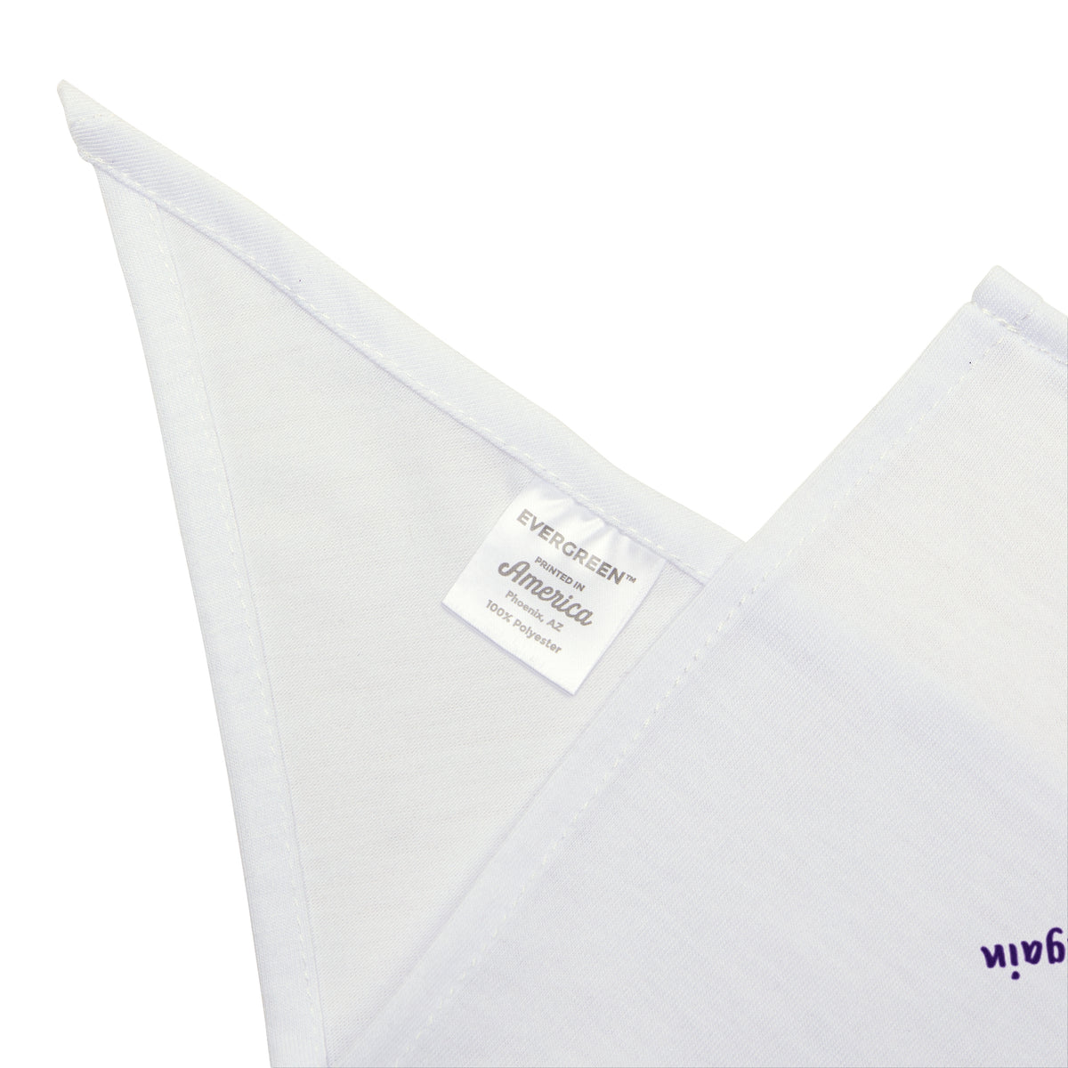 Funny Dance Mom Dog Bandana Quick Change Checklist