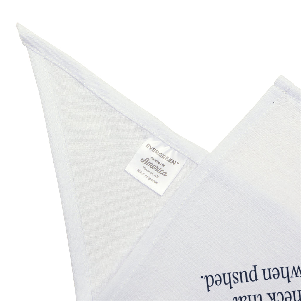 Funny Christmas Cat Dog Bandana Gravity Test Dictionary Definition