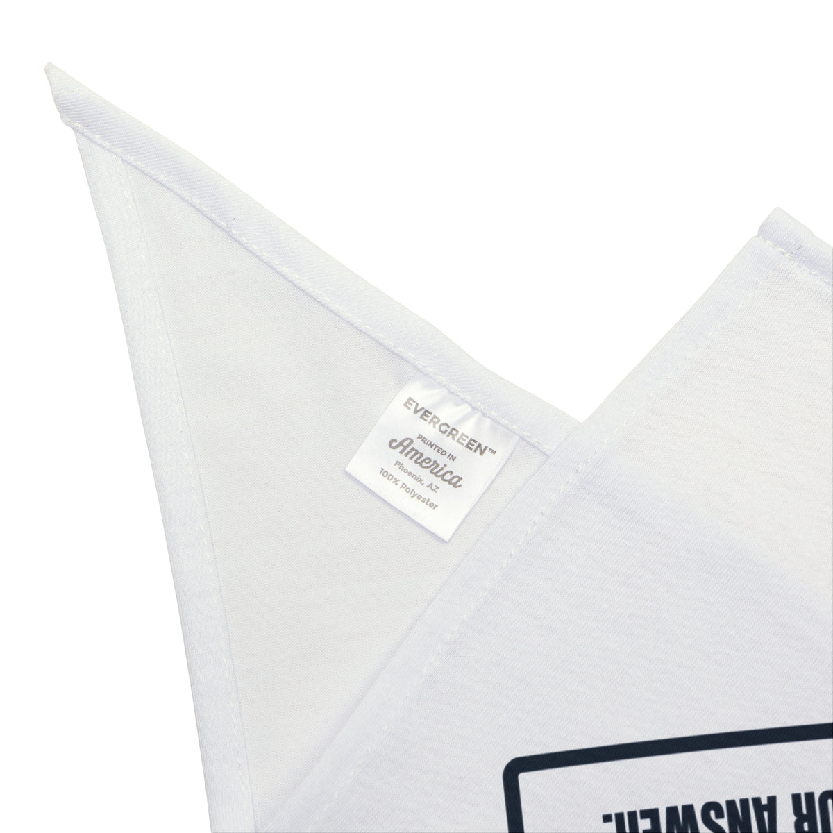 Funny Teacher Dog Bandana Interesting Choice Means Try Again
