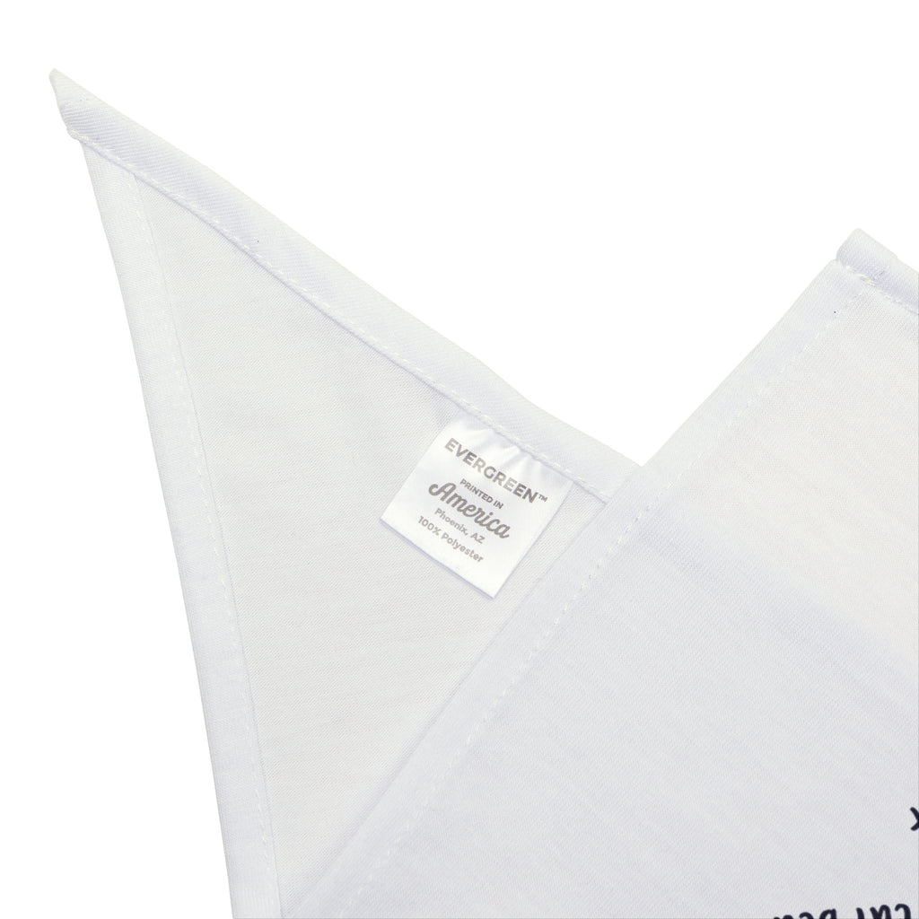 Funny Christmas Cat Dog Bandana Cat's December Plan Checklist