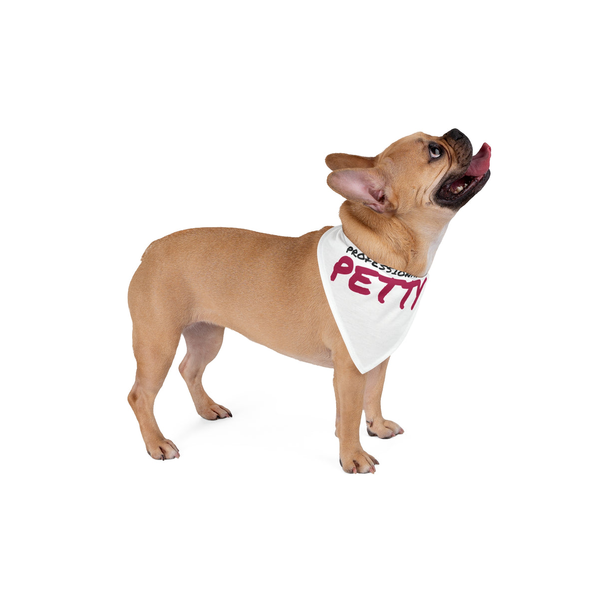 Professionally Petty Dog Bandana, Funny Sarcasm