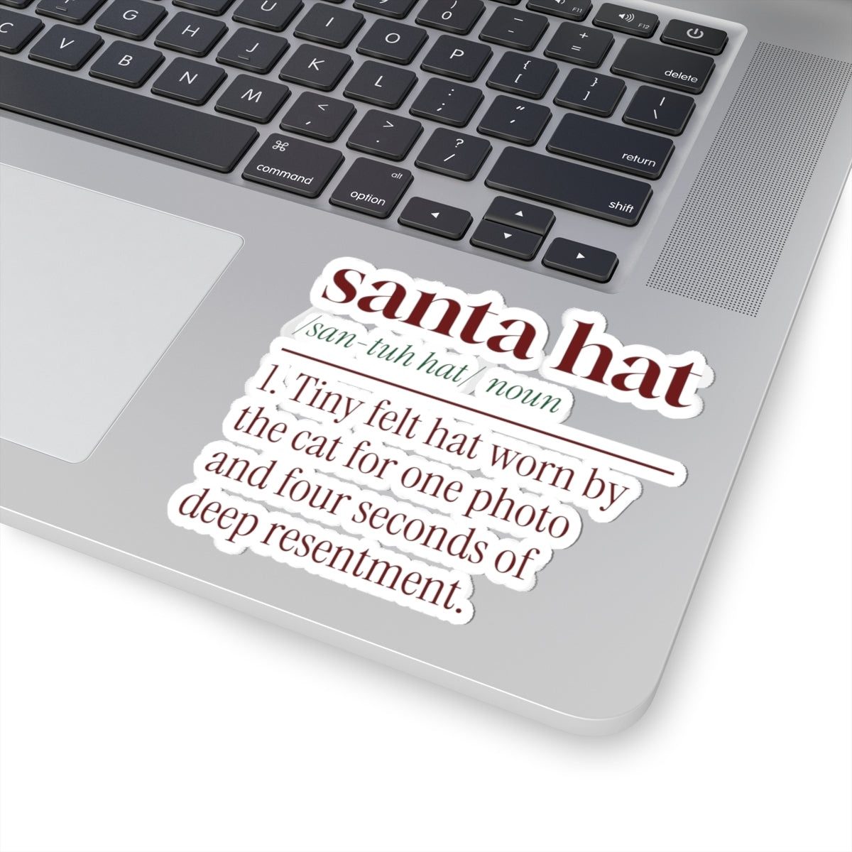 Funny Christmas Cat Sticker Santa Hat Definition For Cat Lovers