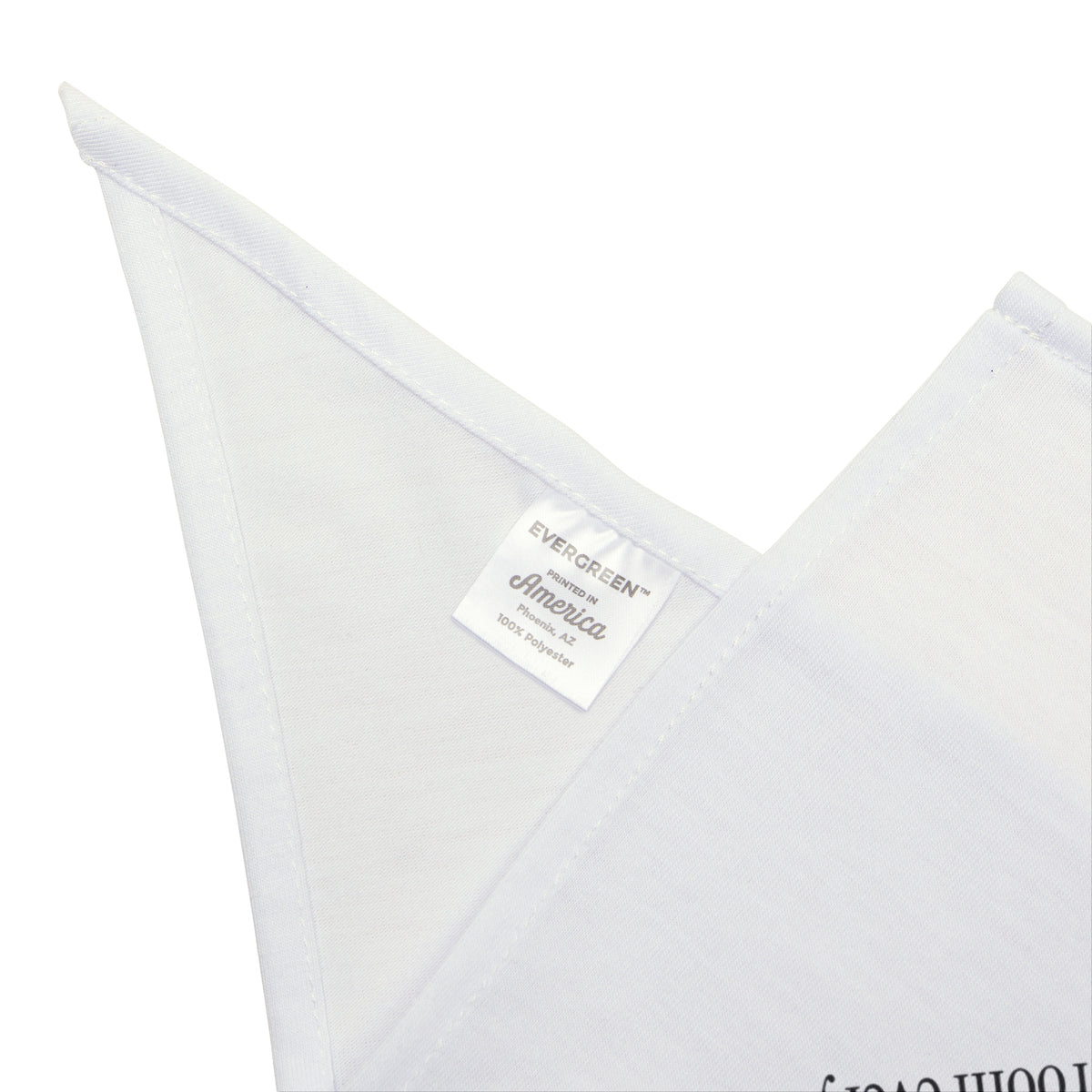 Funny Cat Dad Dog Bandana Slow Blink Dictionary Definition