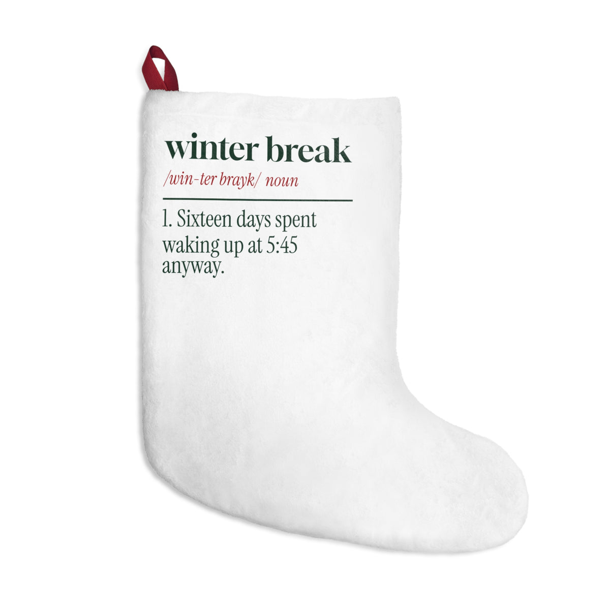 Funny Christmas Teacher Christmas Stocking Winter Break Dictionary