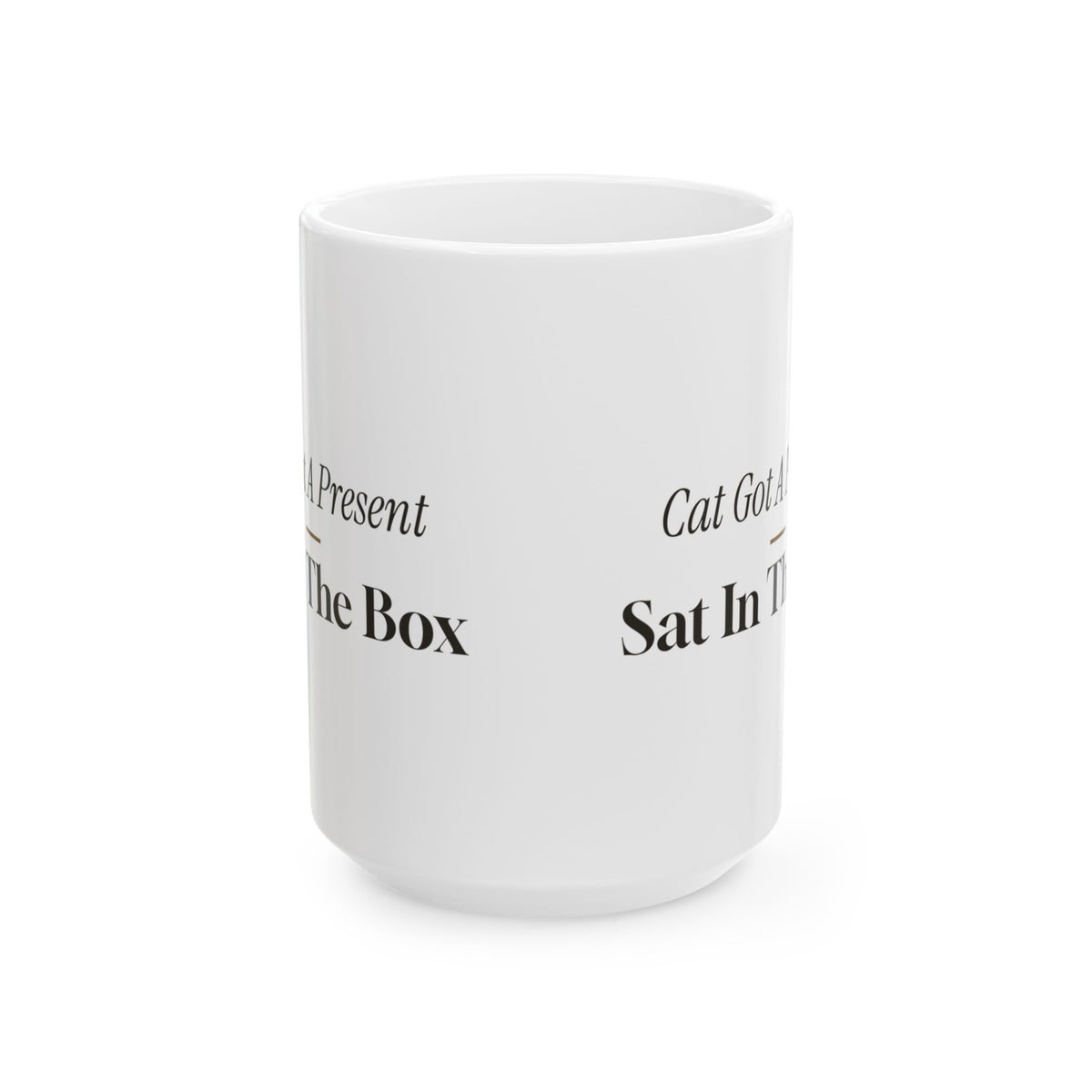 Funny Christmas Cat Coffee Mug The Cat Sat In The Box Instead