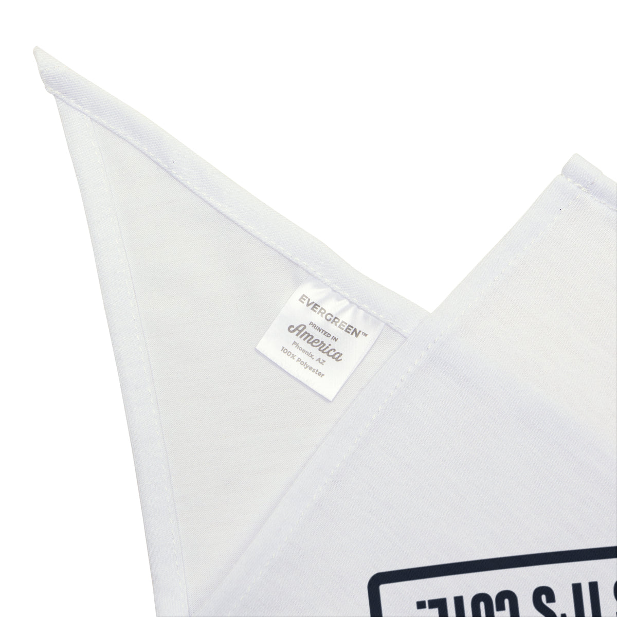 Funny Dog Dad Warning Label Dog Bandana For Dog Owners