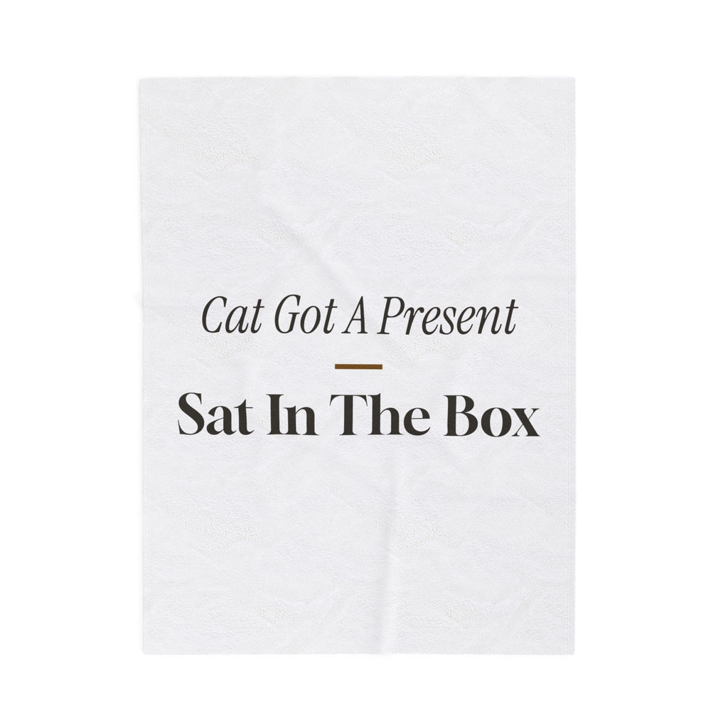 Funny Christmas Cat Throw Blanket The Cat Sat In The Box Instead