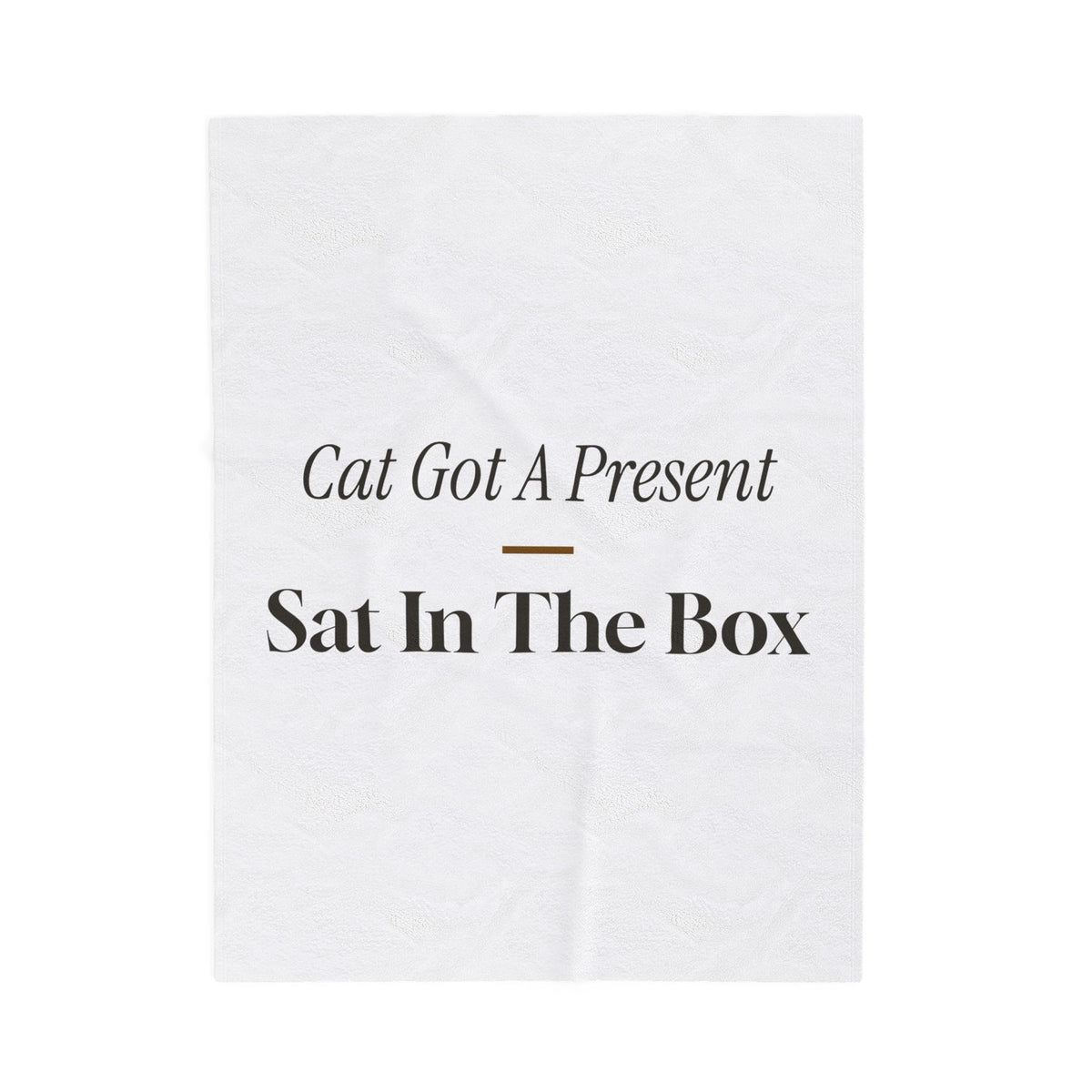Funny Christmas Cat Throw Blanket The Cat Sat In The Box Instead