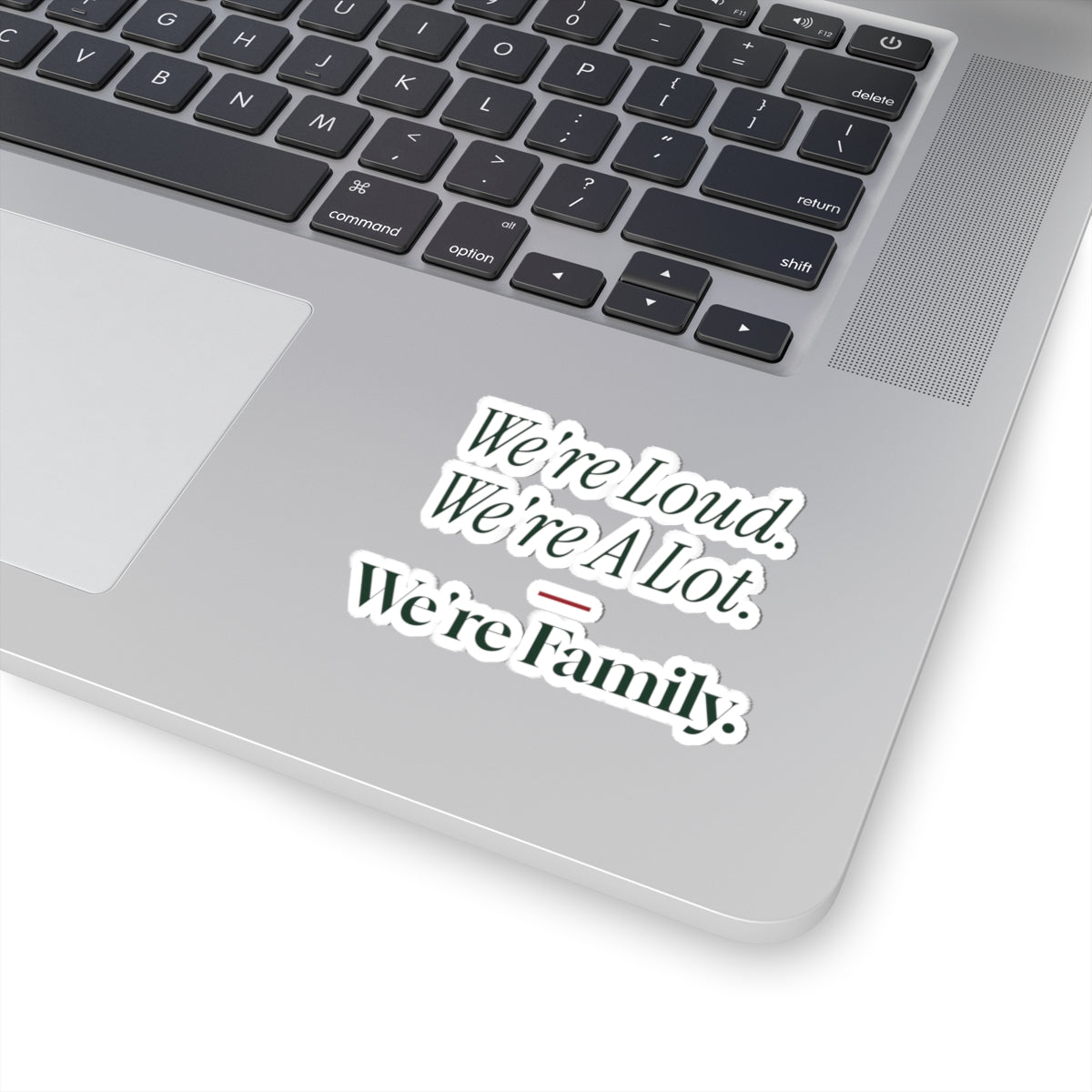Funny Family Christmas Sticker We're Loud We're A Lot We're Family