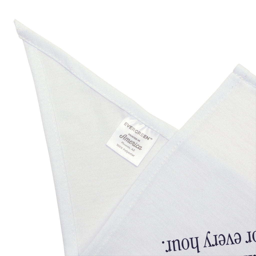 Funny Cat Mom Dog Bandana Cat Schedule Dictionary Definition
