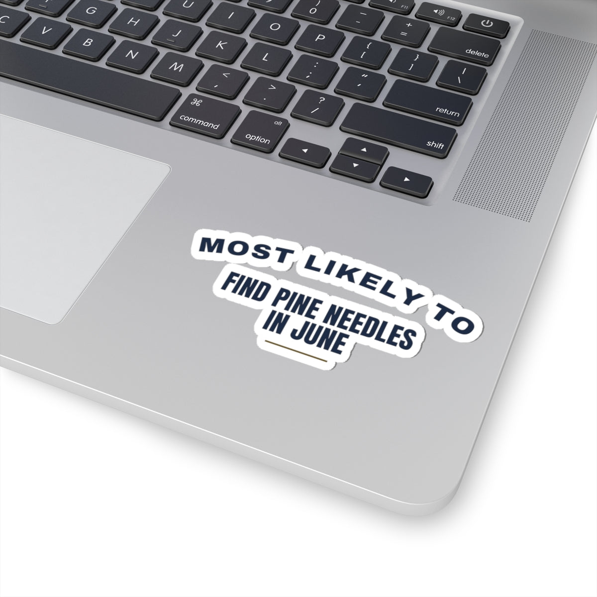 Funny Christmas Sticker Most Likely To Find Pine Needles In June Family
