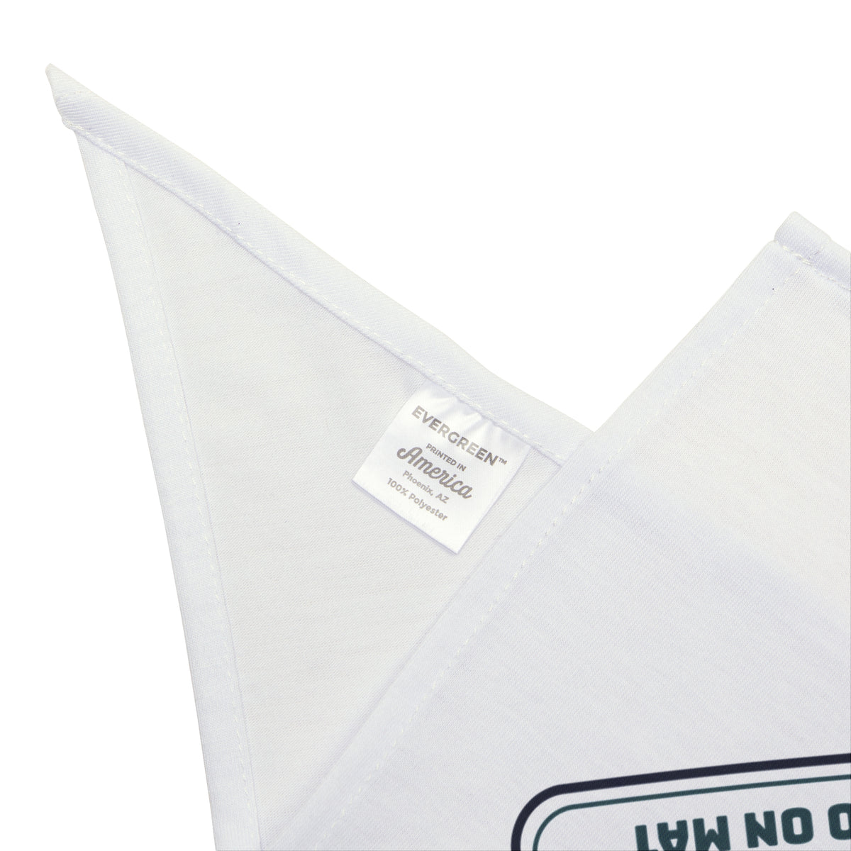 Funny Yoga Dog Bandana Mat In Use Dog Also On Mat