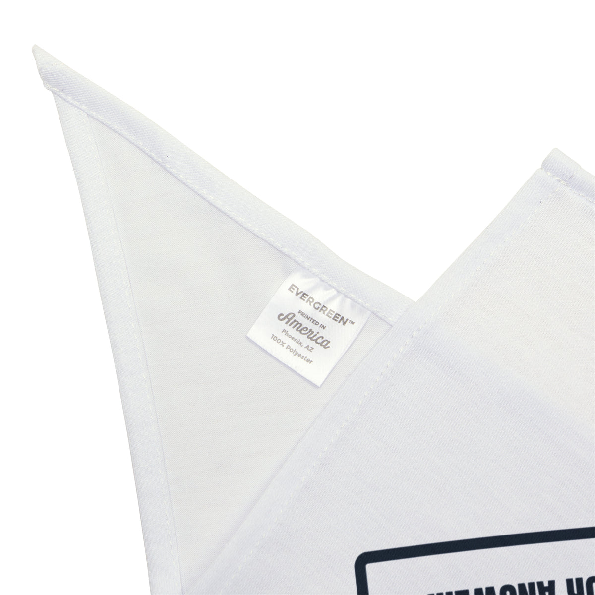 Funny Teacher Dog Bandana Interesting Choice Means Try Again