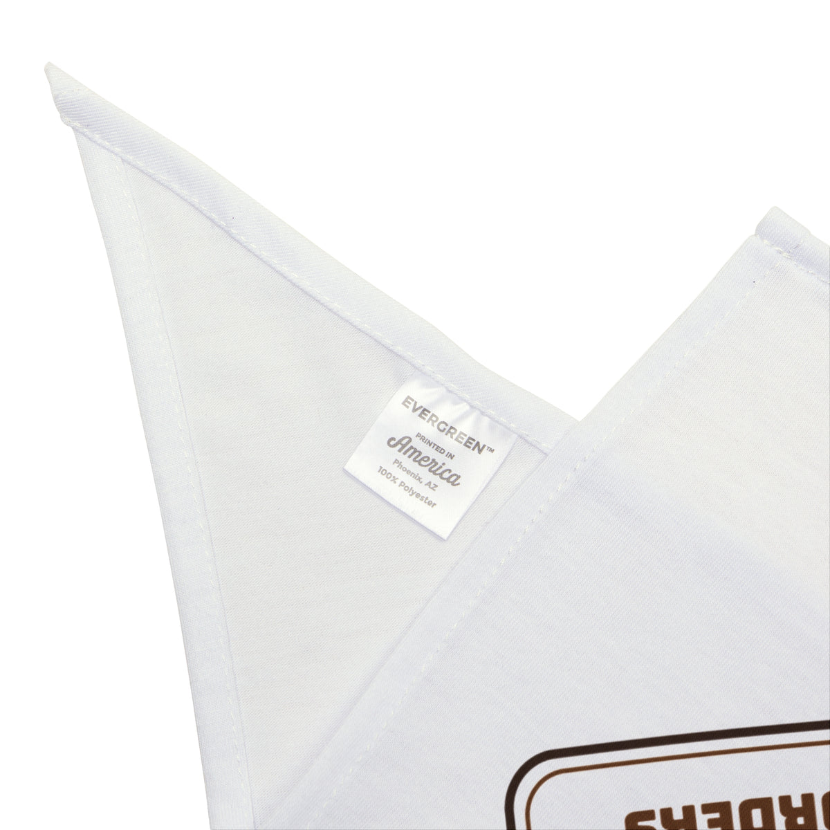 Dachshund Dog Bandana Ramps Not Jumps Vet's Orders House Rule