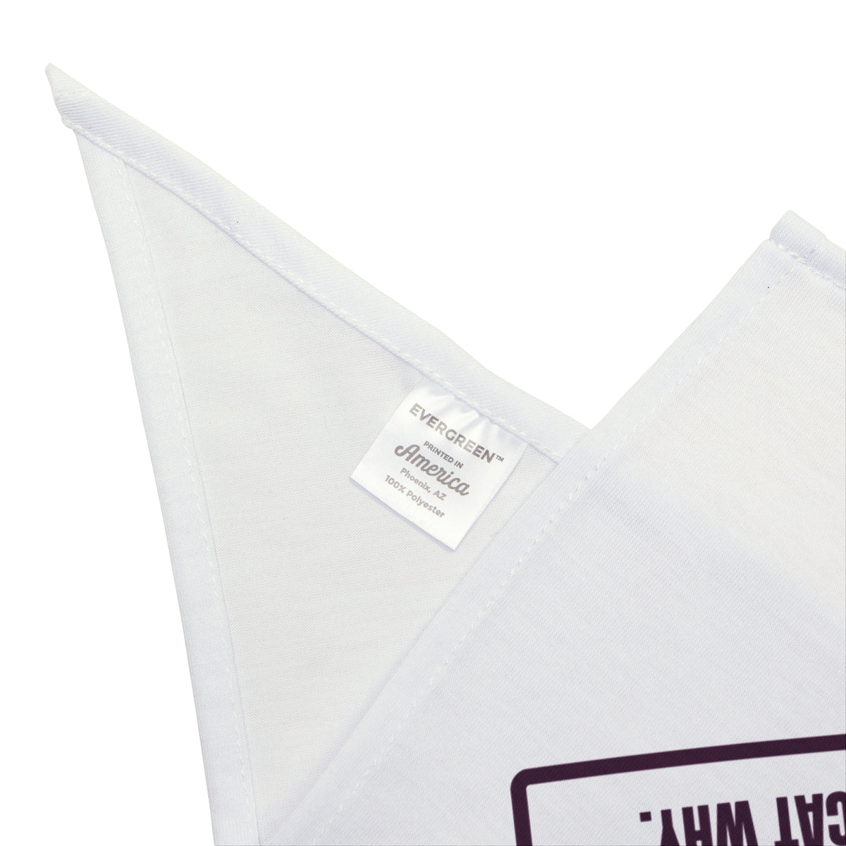 Funny Cat Christmas Dog Bandana Tabletop Tree This Year Ask The Cat Why