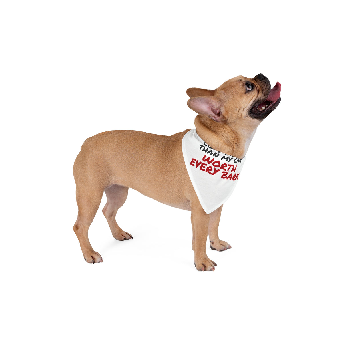 Cost More Than My Car Worth Every Bark Dog Bandana, Funny Dog