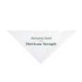 Funny Dance Mom Dog Bandana Hairspray Rated Hurricane Strength