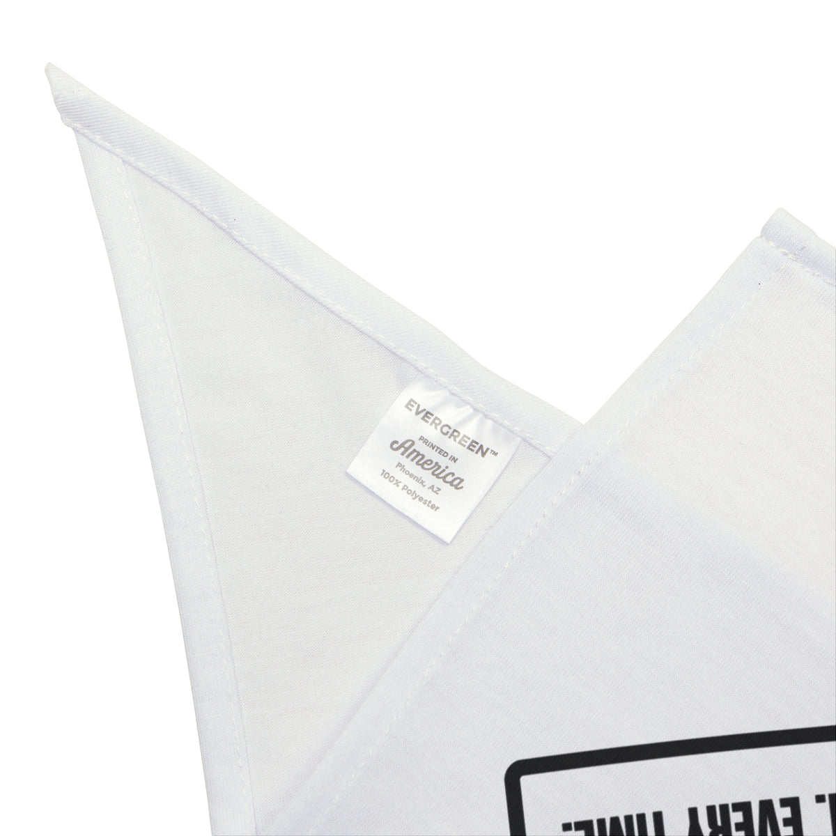 Black Cat Warning Dog Bandana 2am Object Relocation For Cat Owners