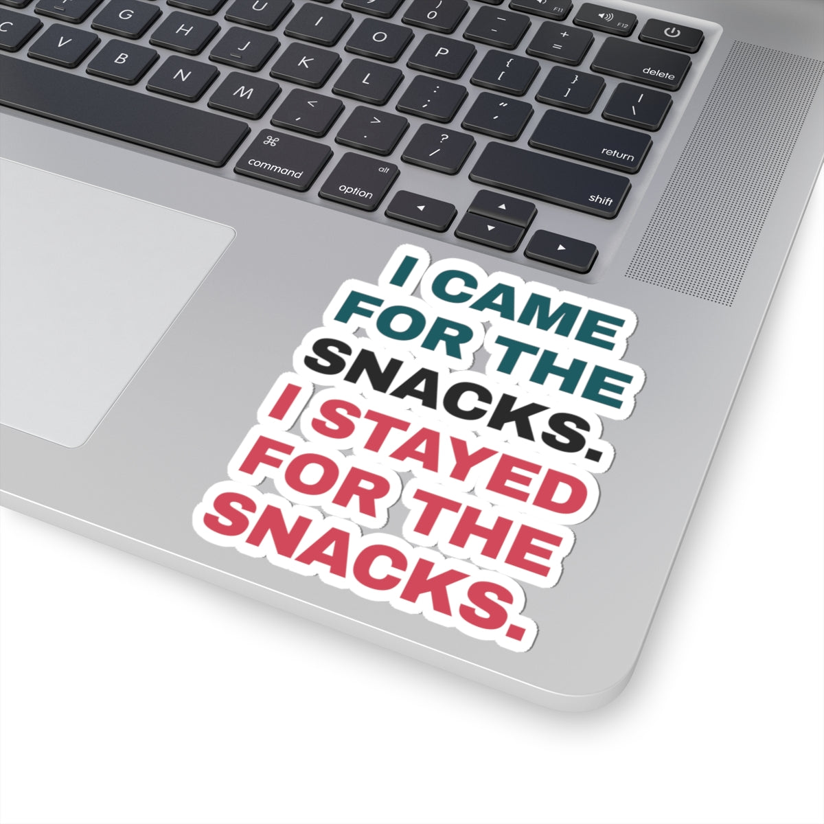 Funny Snack Lover Sticker I Came For The Snacks