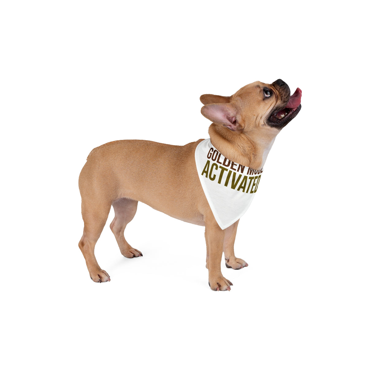 Golden Retriever Dog Bandana "Golden Mode Activated" Funny Dog Lover