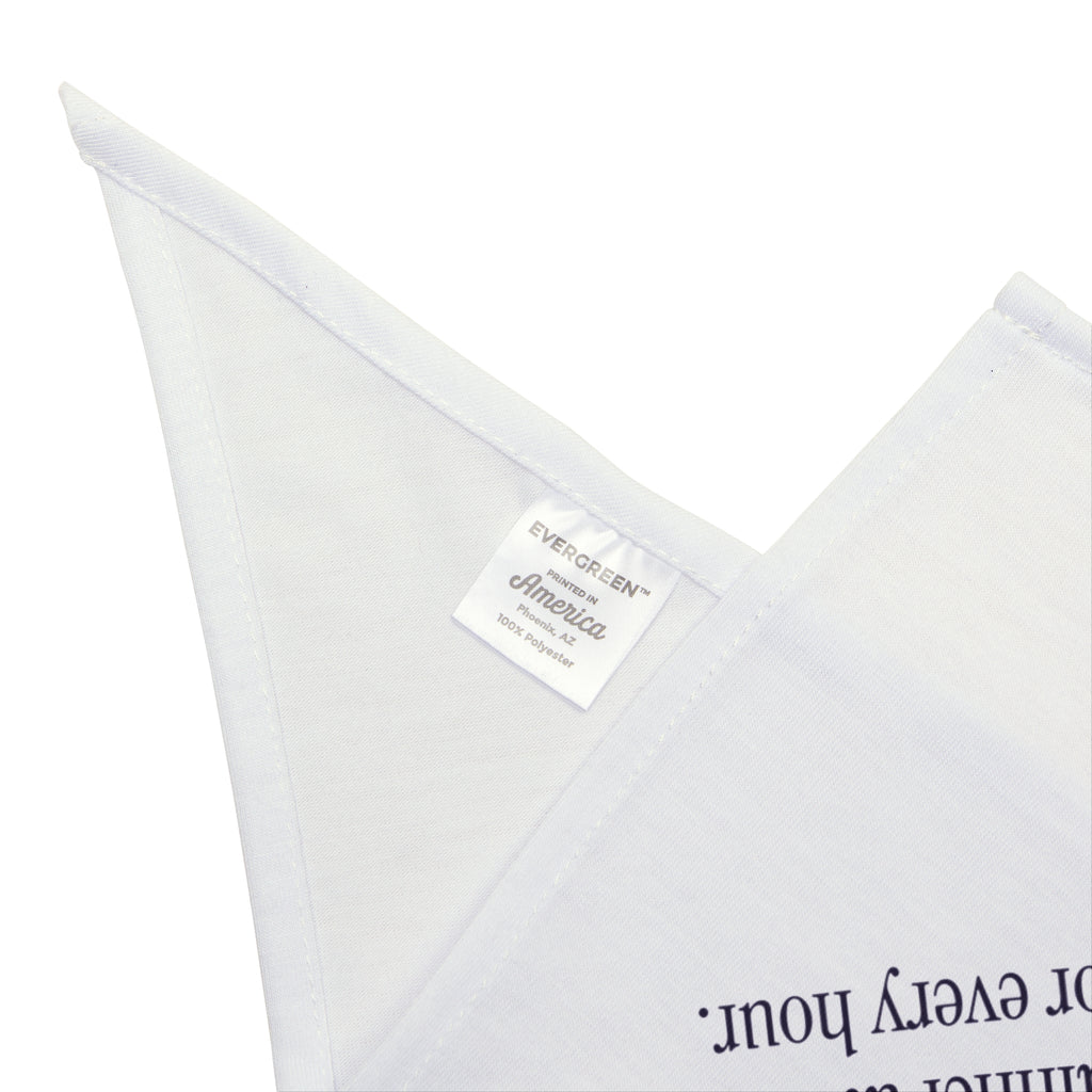 Funny Cat Mom Dog Bandana Cat Schedule Dictionary Definition