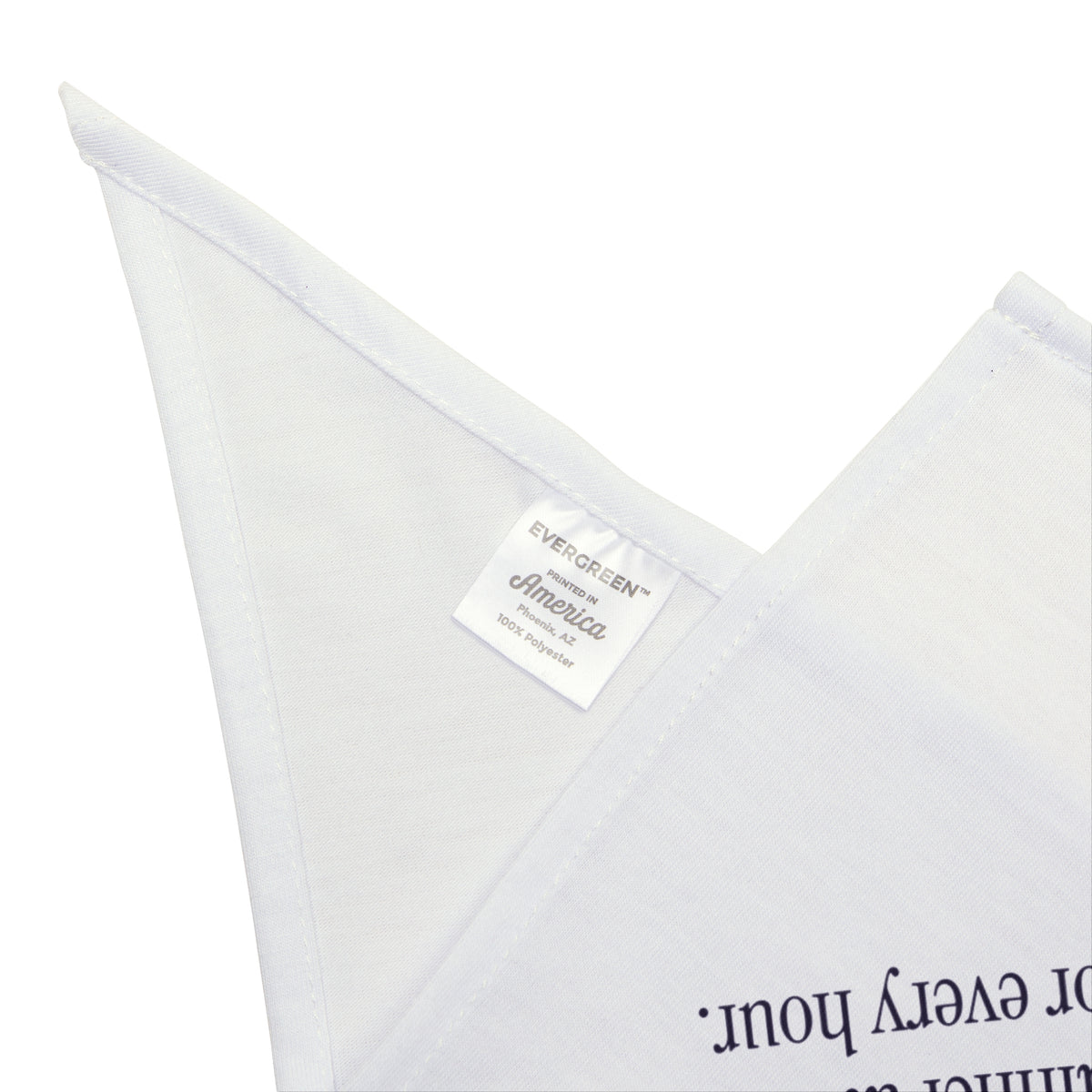 Funny Cat Mom Dog Bandana Cat Schedule Dictionary Definition
