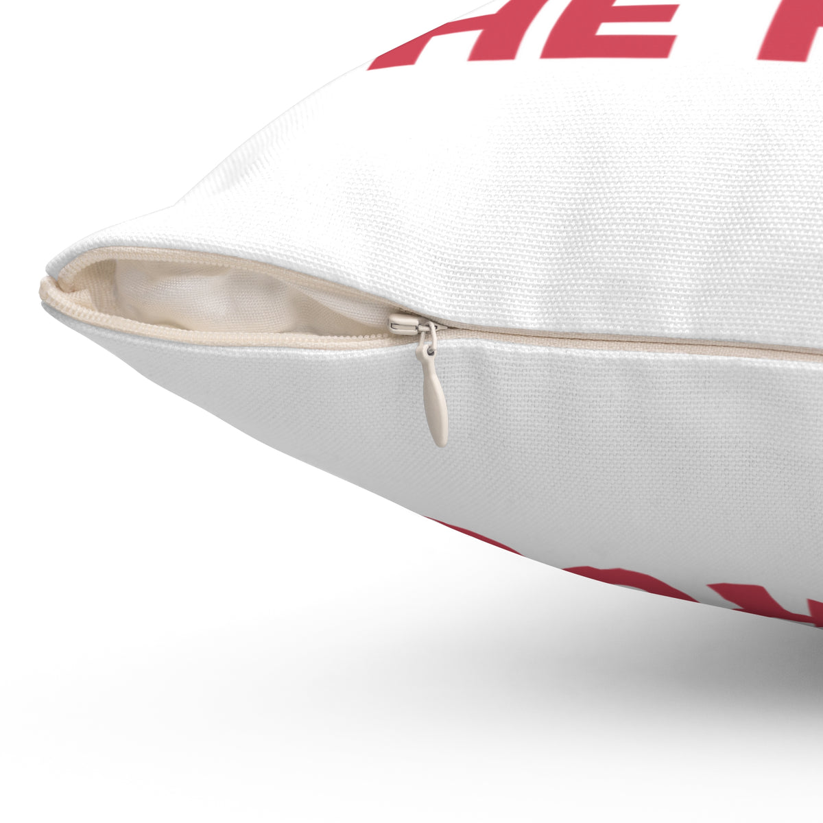 Funny Introvert Throw Pillow Read The Room I Left The Room