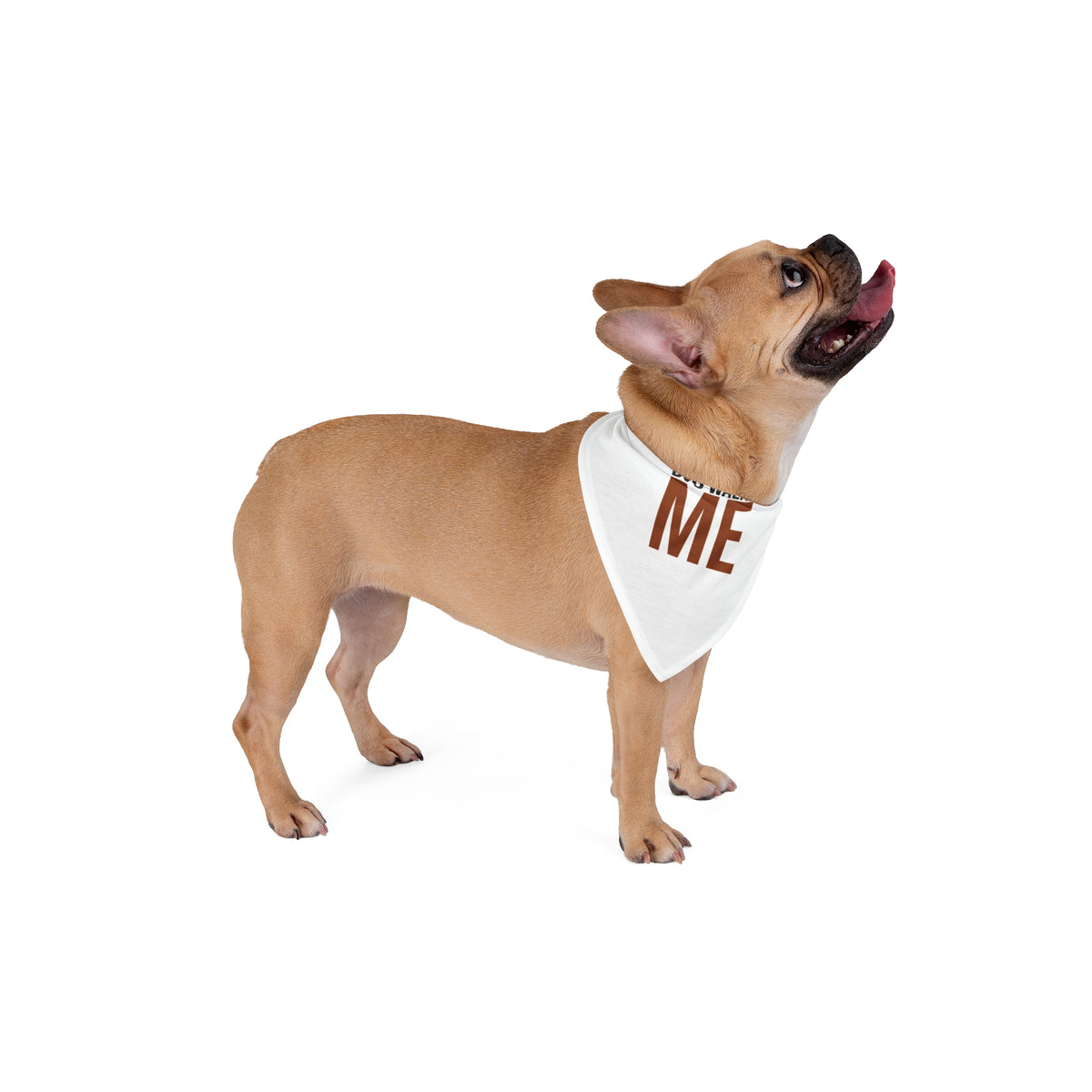 Dog Walks Me Dog Bandana, Funny Dog