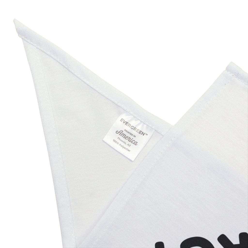 Good Boy Energy Dog Bandana, Funny Dog