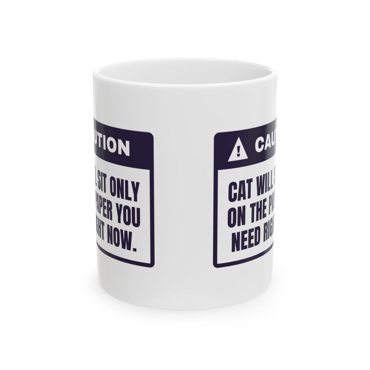 Funny Cat Mom Coffee Mug Sits On The One Paper You Need Warning