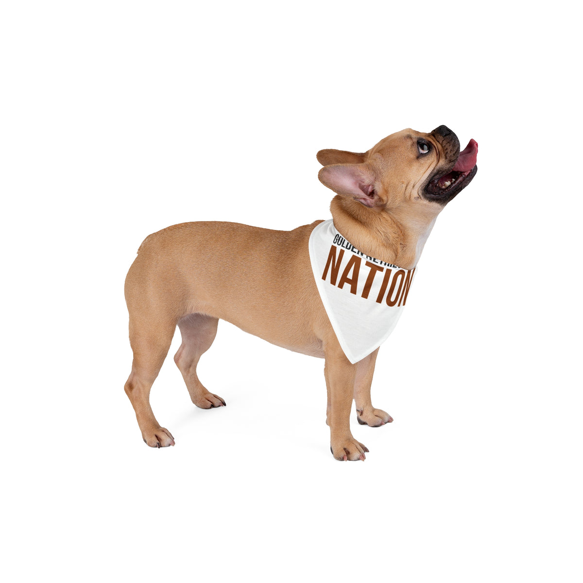 Golden Retriever Dad Dog Bandana "Golden Retriever Dad Nation" For Men