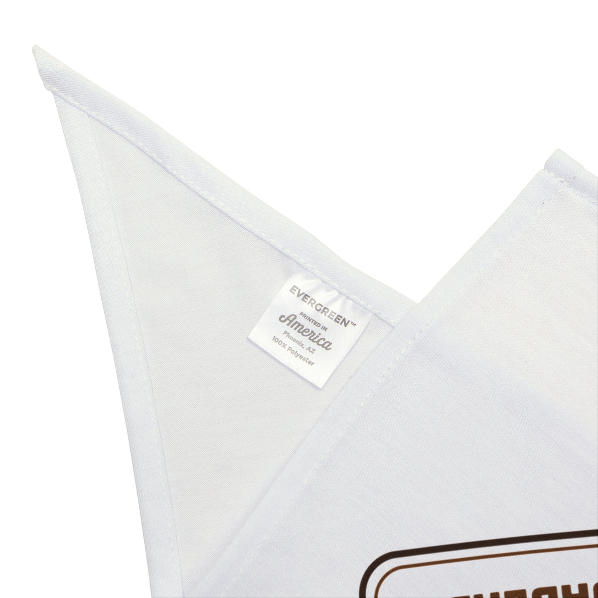 Dachshund Dog Bandana Ramps Not Jumps Vet's Orders House Rule