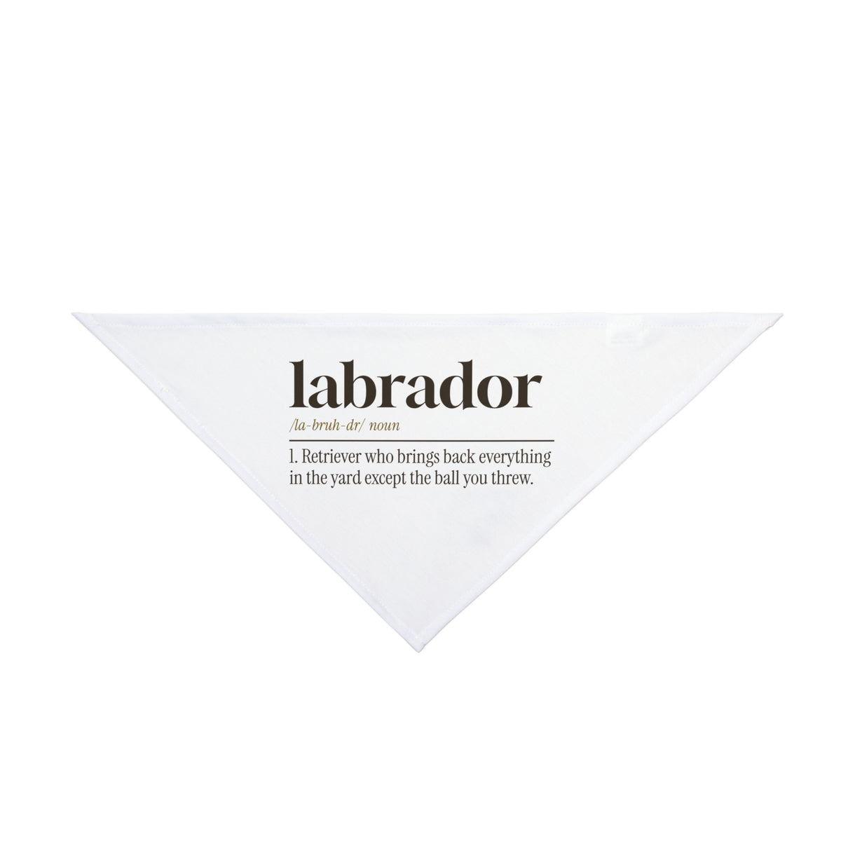 Funny Labrador Dog Bandana Dictionary Brings Back Everything Else