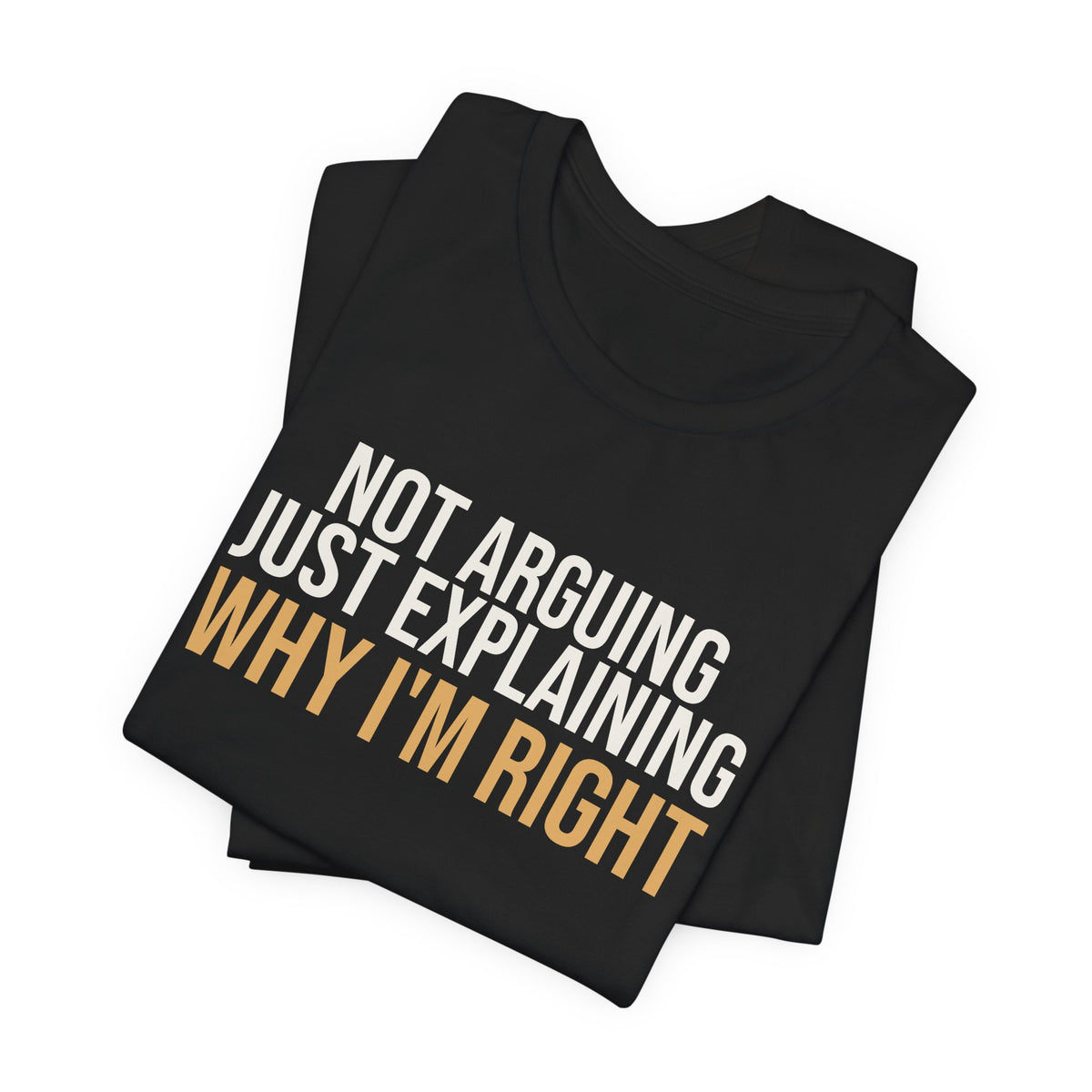 Funny Dad Shirt Not Arguing Just Explaining Why Im Right