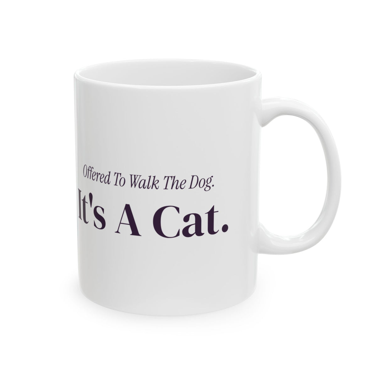 Funny Introvert Christmas Coffee Mug Offered To Walk The Dog It's A Cat