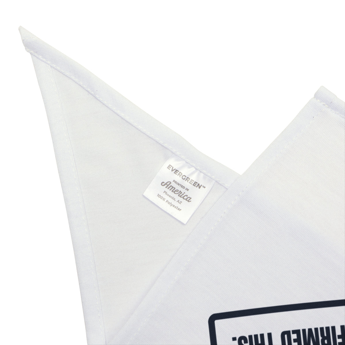 Funny Cat Dad Warning Label Dog Bandana For Cat Owners