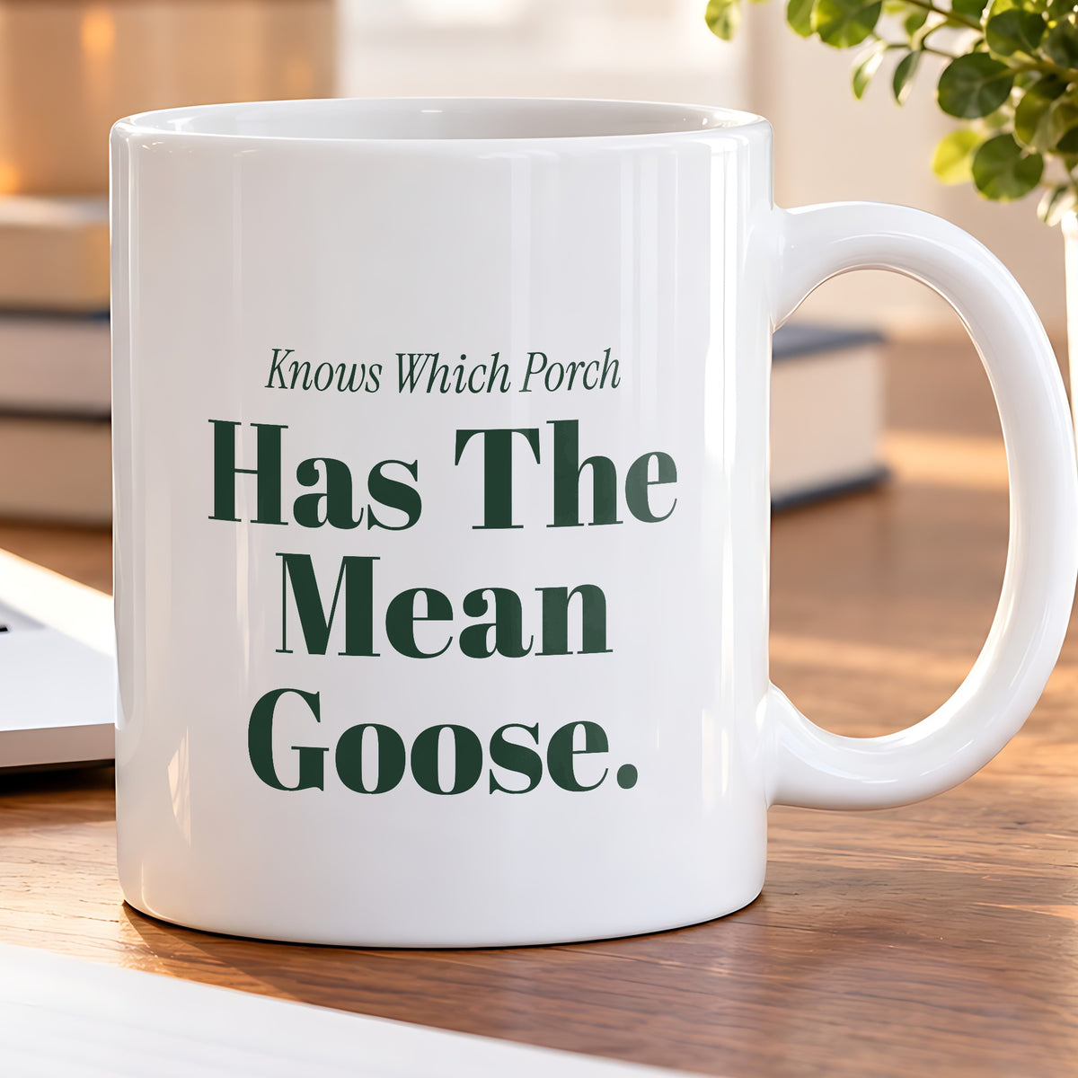 Funny Delivery Driver Coffee Mug Knows Which Porch Has The Mean Goose - photo 5